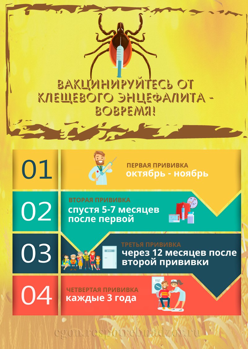 «Рекомендации гражданам:  клещевой вирусный энцефалит и меры его профилактики».