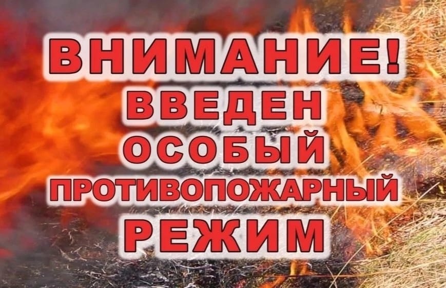 С 27 апреля в Курганской области введен особый противопожарный режим.